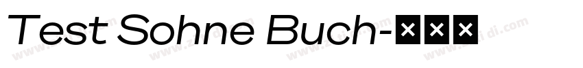 Test Sohne Buch字体转换